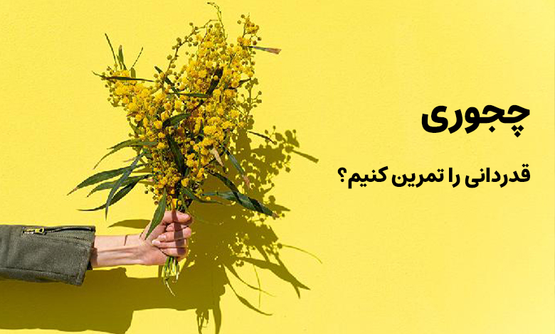 چجوری قدردانی را تمرین کنیم؟