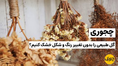 چجوری گل طبیعی را بدون تغییر رنگ و شکل خشک کنیم؟